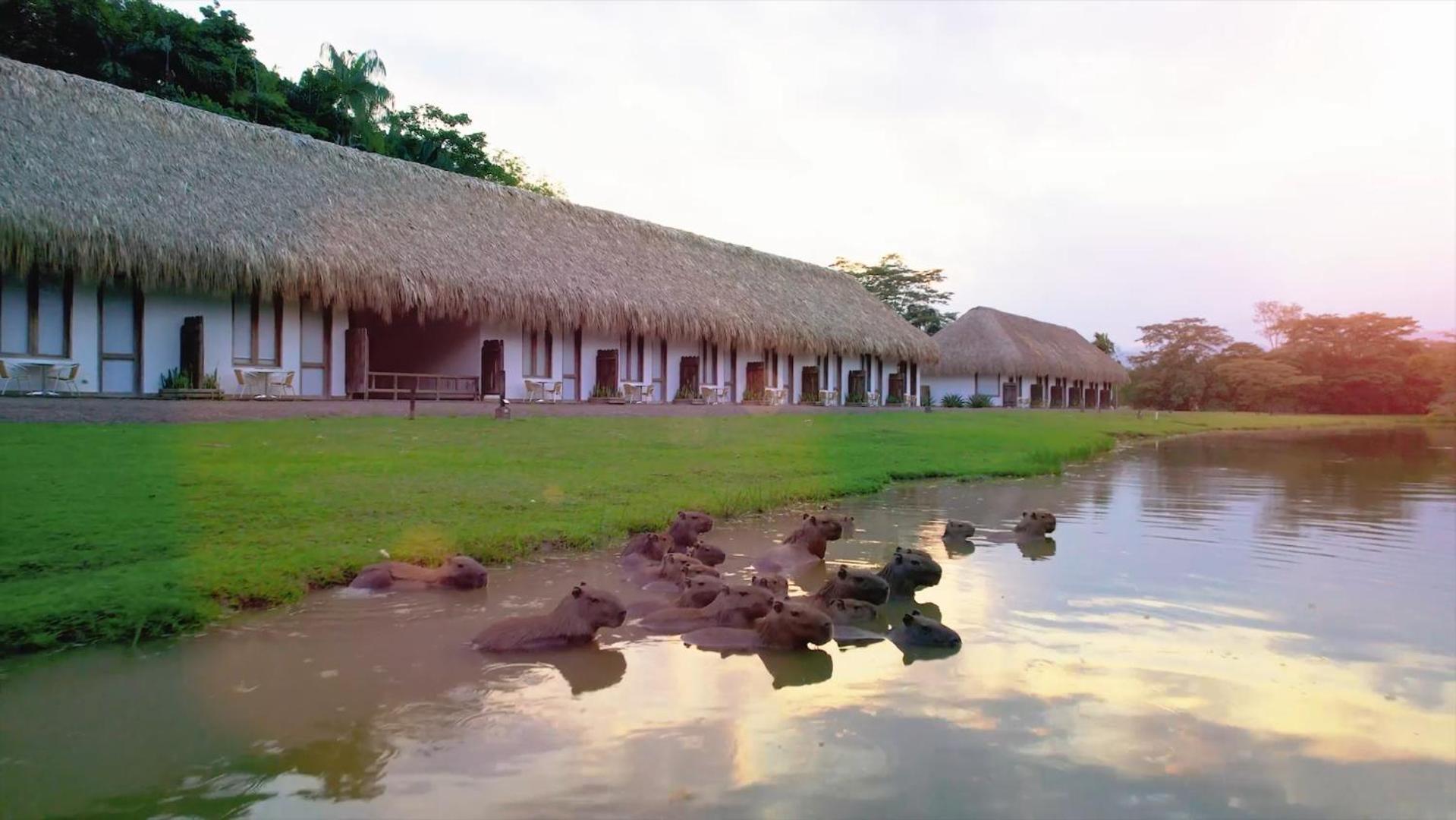 Hotel Reserva De Piedemonte La Palmera 외부 사진