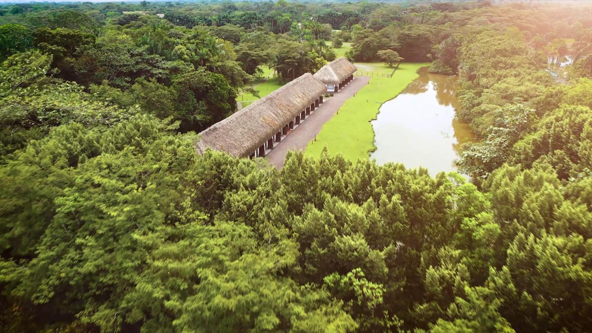 Hotel Reserva De Piedemonte La Palmera 외부 사진