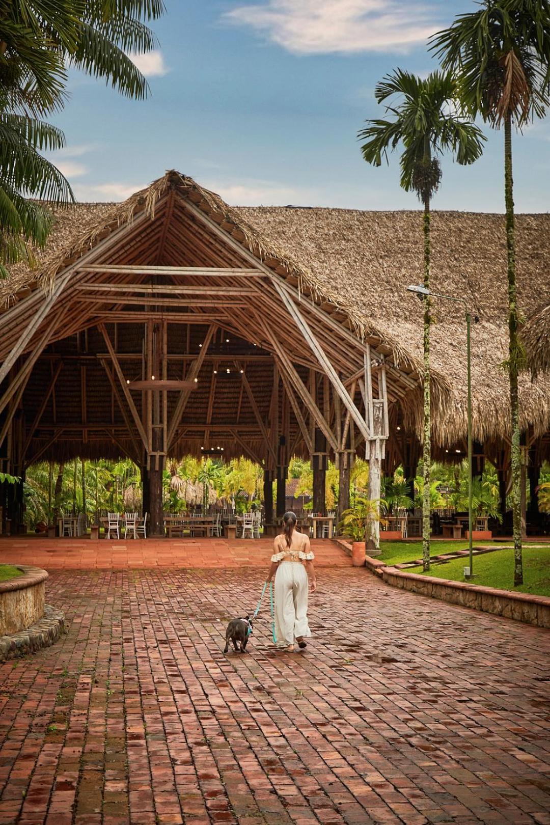 Hotel Reserva De Piedemonte La Palmera 외부 사진